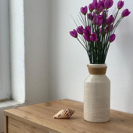 Apartman Dma Тиват Екстер'єр фото